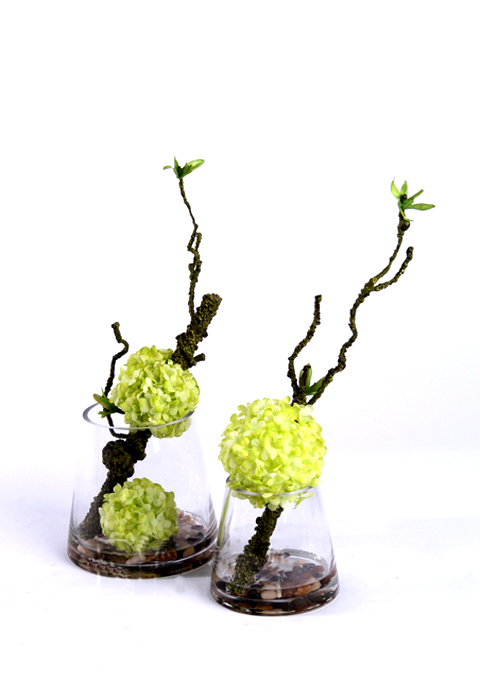 插花和花艺作品