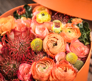 送鲜花