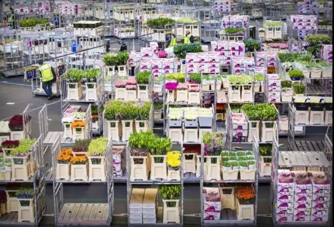 皇家花艺市.jpg