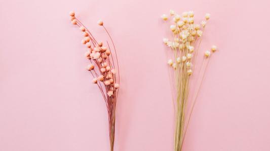 干花插花