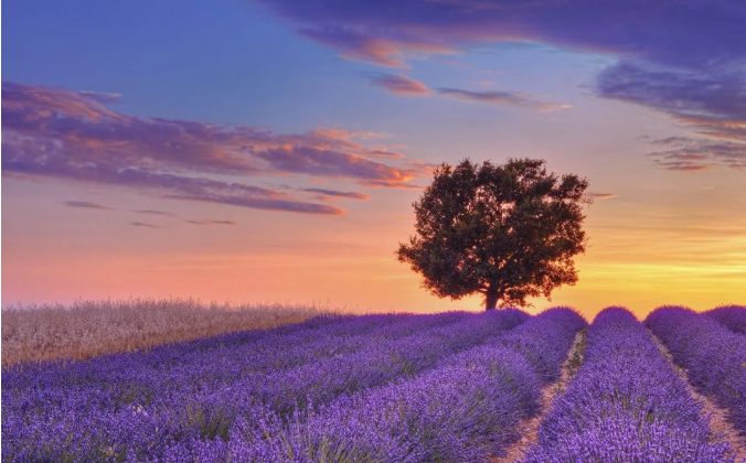 1569380494938837.png QQ截图20190925103721.png