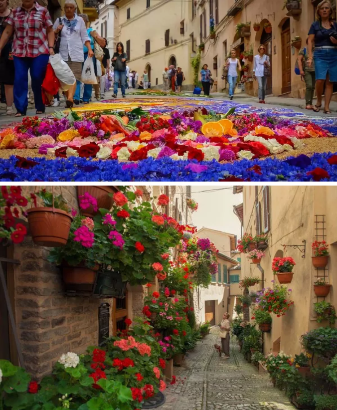 1569380561671770.png QQ截图20190925103747.png