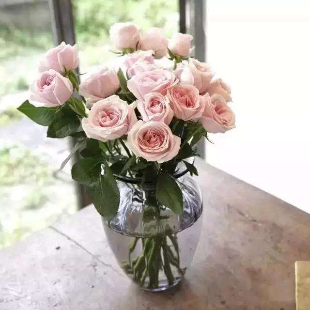 鲜花保养
