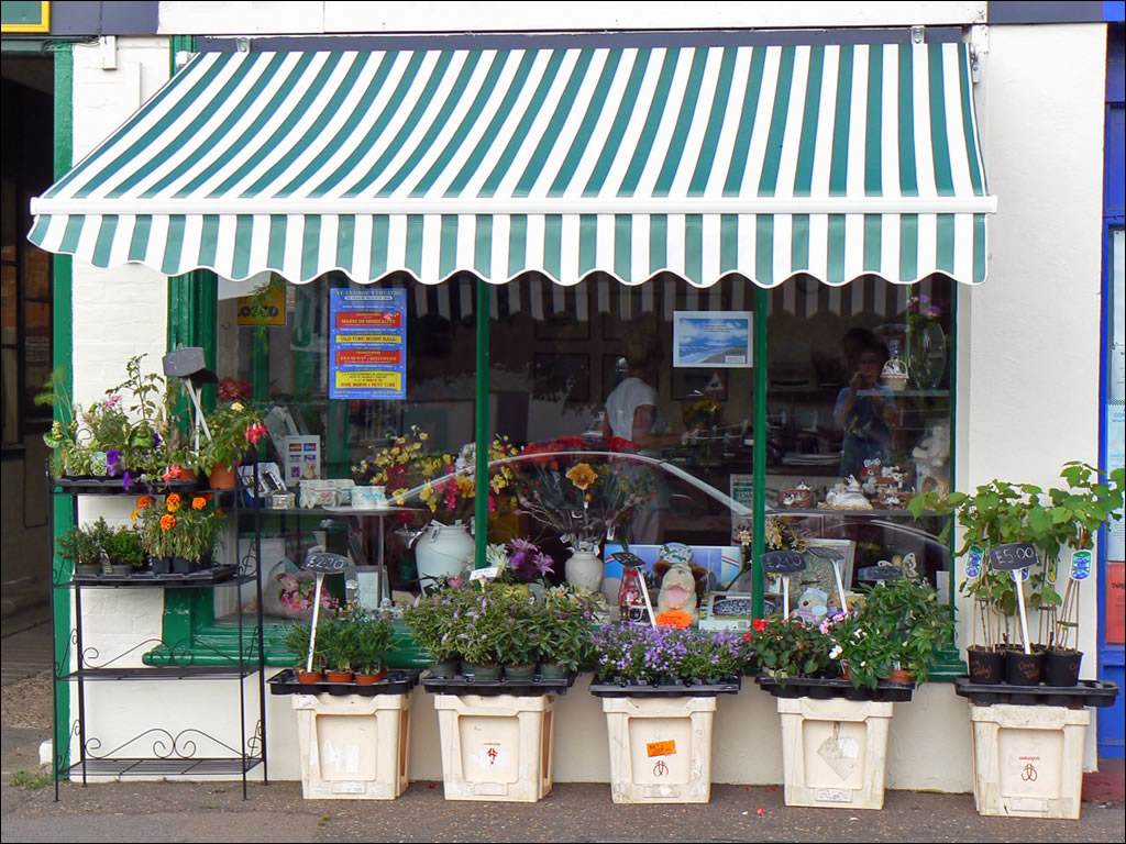 开花店