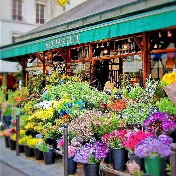 开花店