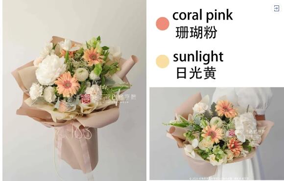 珊瑚粉&日光黄.jpg