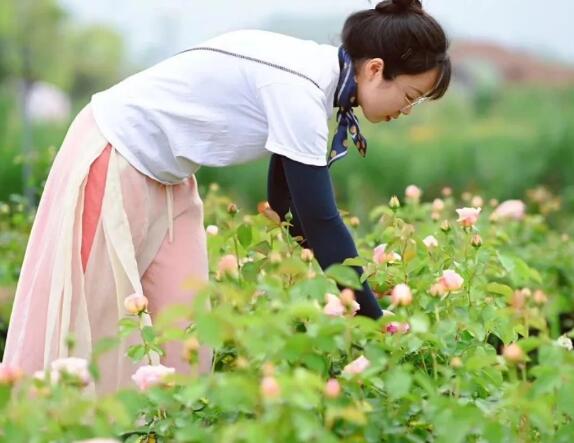 “种花，是一个释放压力的出口”.jpg