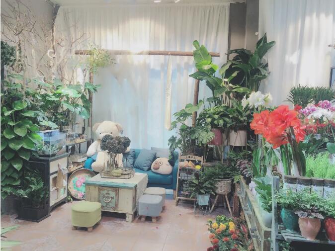 经营花店1.jpg