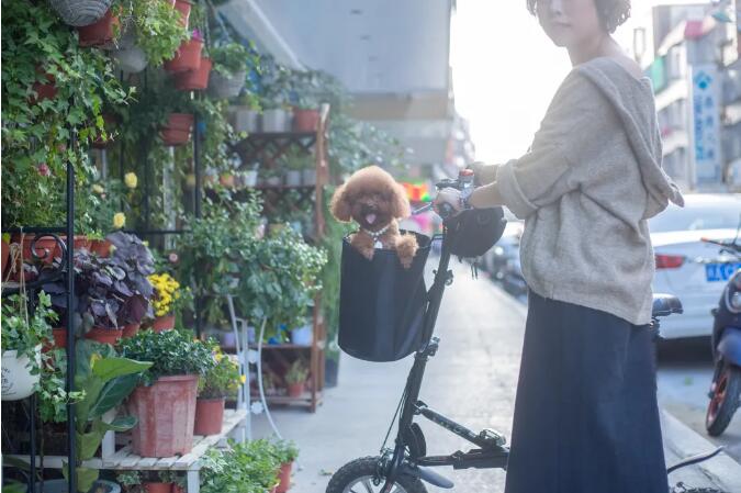 经营花店2.jpg