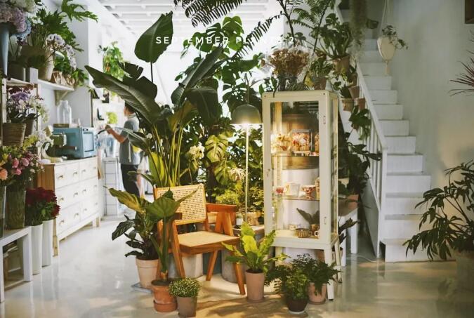 花店又重新开了起来1.jpg
